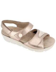 S1078B - Omega/Fredelast Tortora