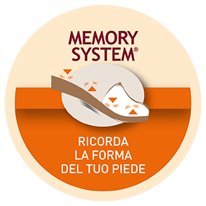 Memory System
